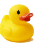 rubber duck