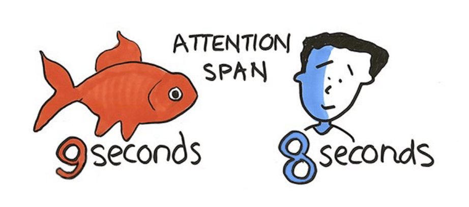 short videos attention span