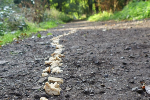 b2b sales bread crumbs on trail