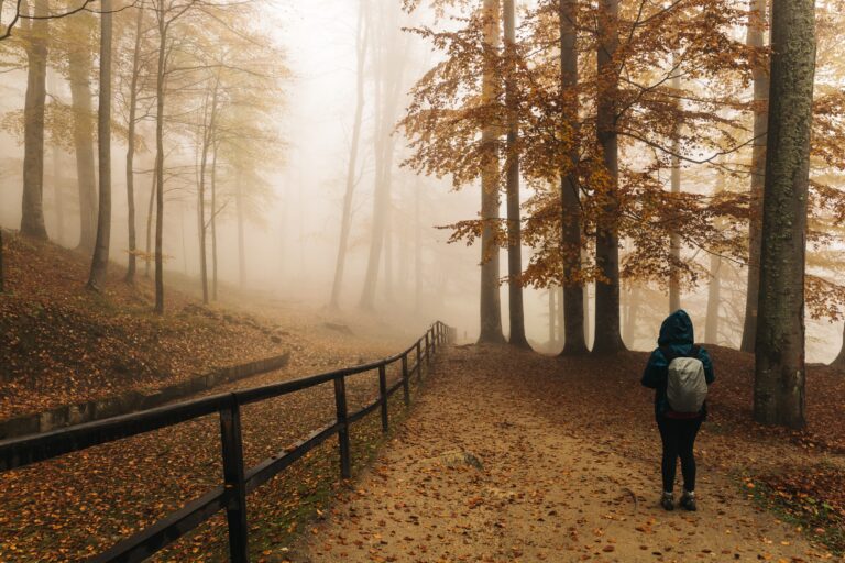 storytelling person walking in woods on autumn day