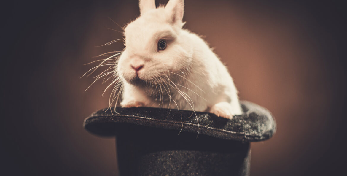 content analysis rabbit in a magician hat